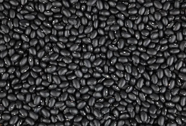 feijão preto.webp
